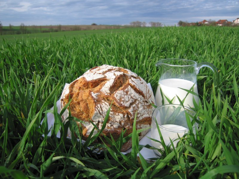 Gemüsestand am Hof Insel Reichenau